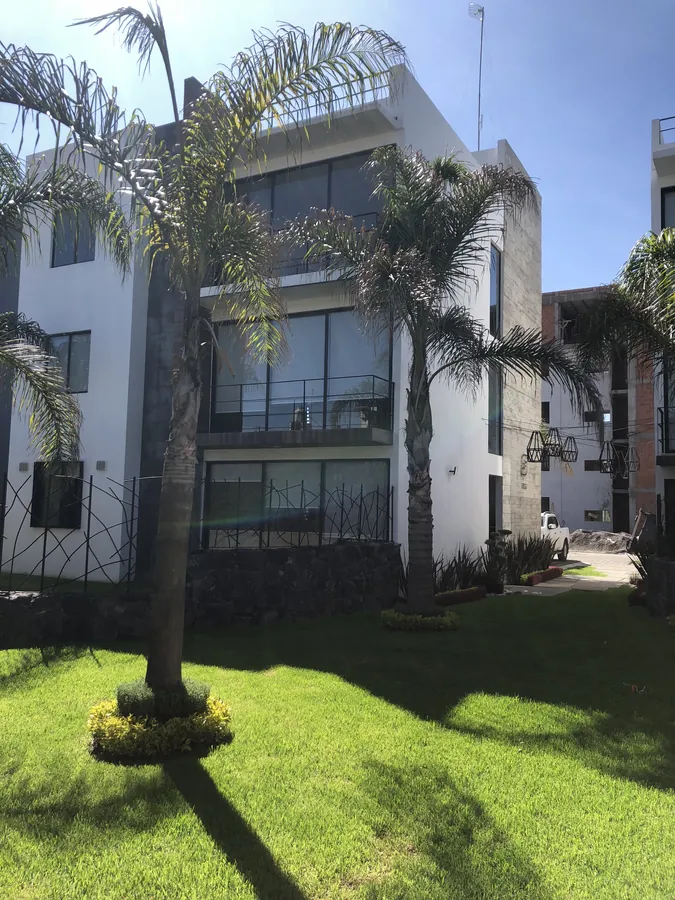 Fachada con palmera y jardín frontal — casa residencial construida por Prisma Habita en Puebla
